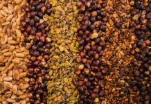 여름철 건강한 간식으로 체중 관리하기 assorted seed lot