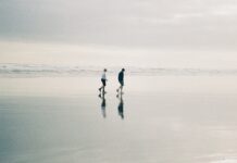 운동과 식사: 최적의 영양 섭취 타이밍과 조화 two person walking at beach during daytime