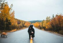 가을철 운동으로 체중 감량 효과 극대화 person siting between road