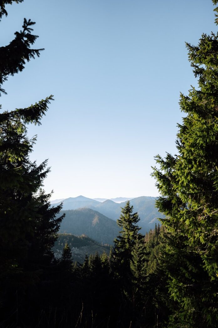Photo by Martin Katler Framed view of rolling mountains and evergreen trees.