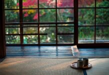 “업무 속 건강 챙기기, 작은 습관이 만든 큰 차이” two mugs on saucer plate on floor