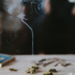 일상 속 마음 건강 챙기기, 작지만 꾸준한 변화가 답 toothpick on popsickle stick