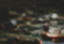 “마음 돌보기, 일상에서 시작하세요” – 스트레스 관리 노하우 pink and white lotus flower