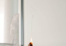“나를 돌보는 일상, 웰니스 문화가 바꾸는 건강 트렌드” person holding orange flower in front of white wall